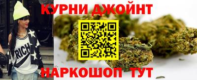гашик Дубна