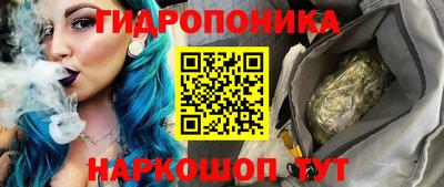 гашик Дубна