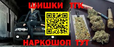 гашик Дубна