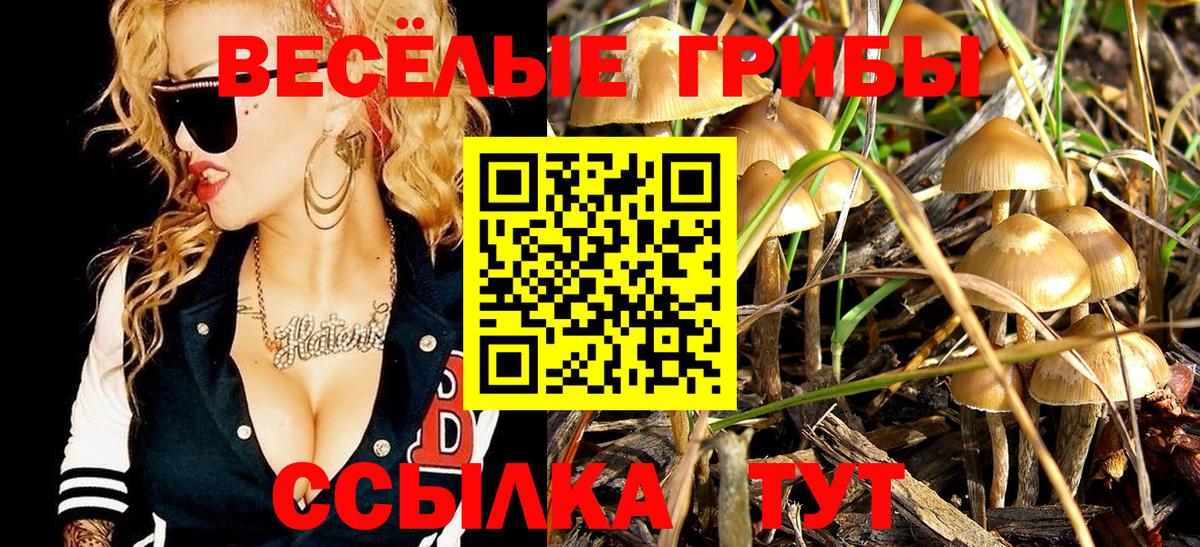 Галлюциногенные грибы мухоморы Пушкино
