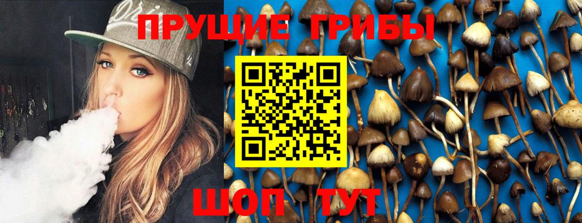 Псилоцибиновые грибы мухоморы  Вход с VPN  Псилоцибиновые грибы Psilocybine cubensis  Пушкино 