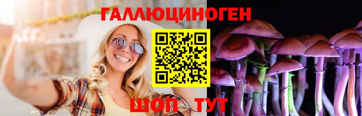 дарнет шоп  Пушкино  Псилоцибиновые грибы Psilocybine cubensis  Галлюциногенные грибы Cubensis 