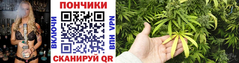Бошки Шишки ГИДРОПОН  Пушкино 